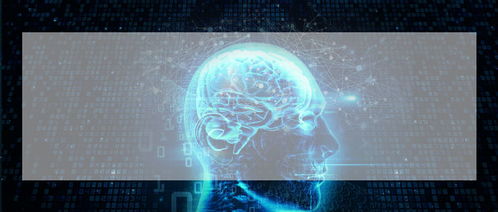 烟台软件开发培训 开启数字化职业之路