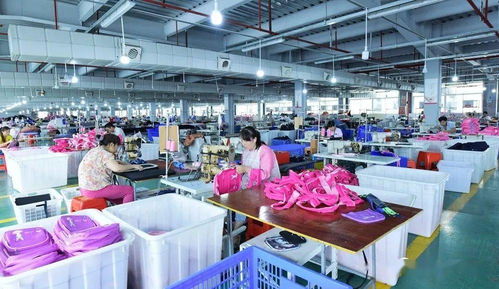 烟台大龙开发区 软件产品扬帆出海 打响全球品牌